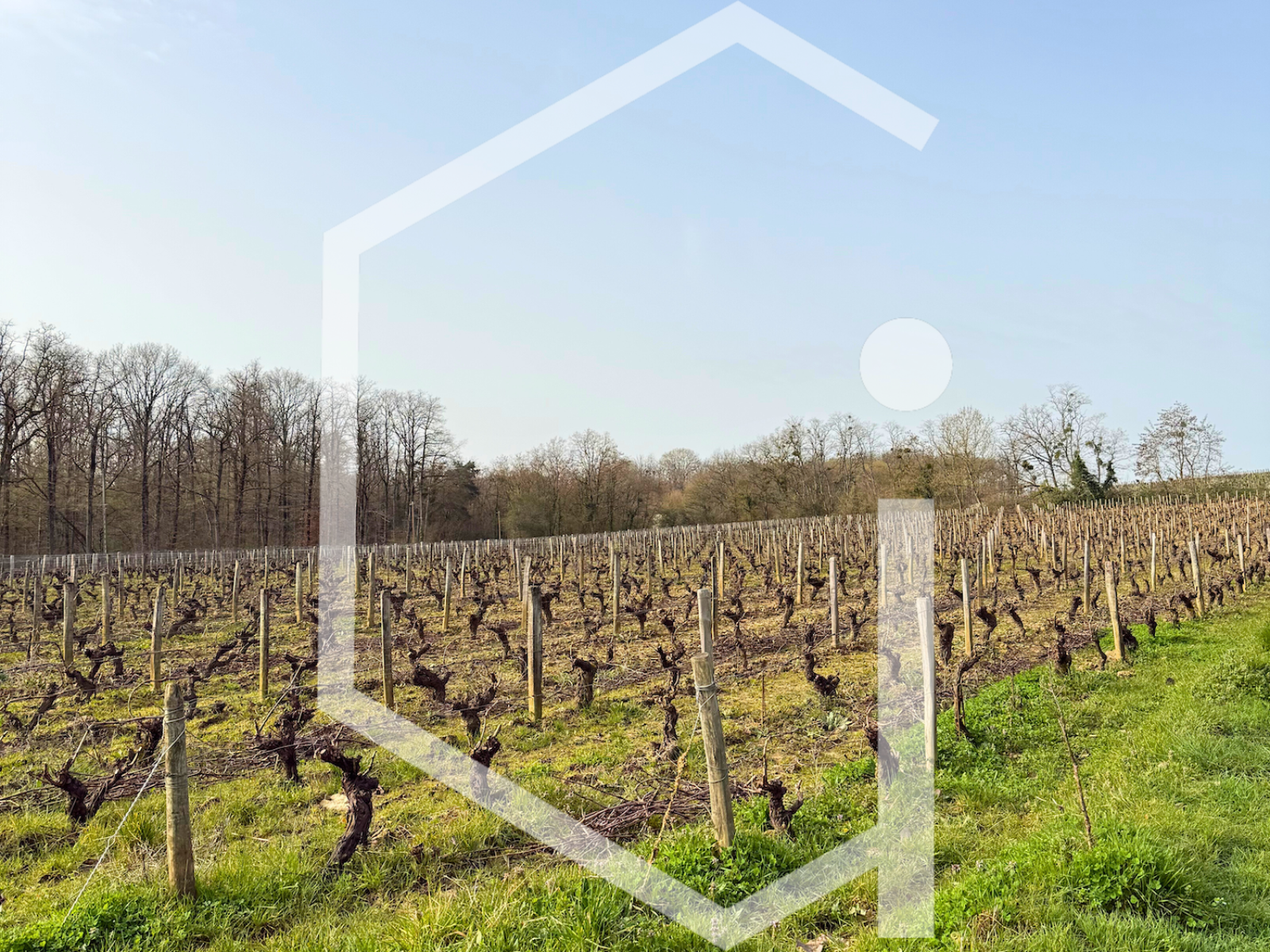 Image_, Propriete, Sancerre, ref :2263