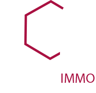 concept immo tours